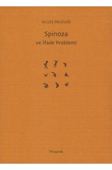 Spinoza ve fade Problemi