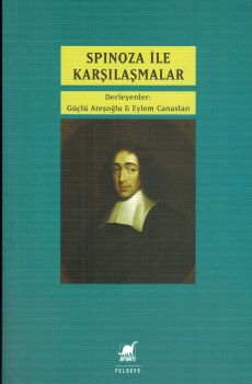 Spinoza ile Karlamalar