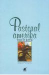 Pastoral Amerika