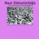 Nazi Diktatrl - Yorum Sorunlar ve Perspektifleri