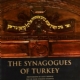 The Synagogues of Turkey