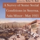 A Survey of Some Social Conditions in Smyrna, Asia Minor - May 1921