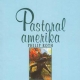 Pastoral Amerika